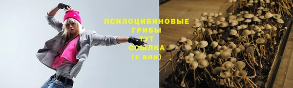 прущие крисы Белоозёрский