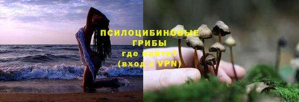прущие крисы Белоозёрский