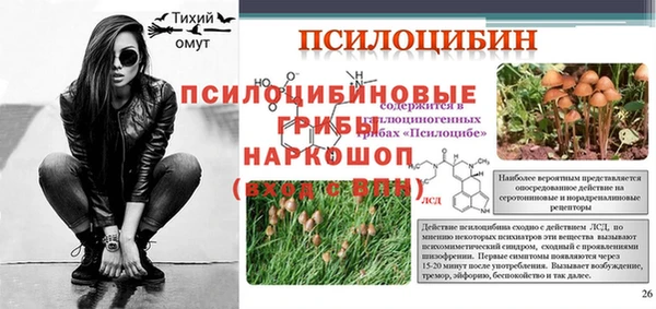прущие крисы Белоозёрский