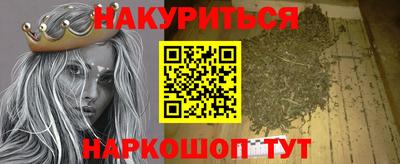амф Гатчина