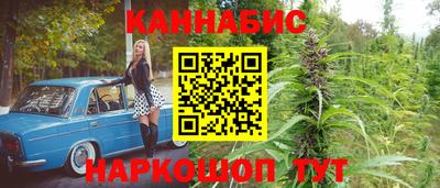 амф Гатчина