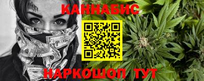 амф Гатчина