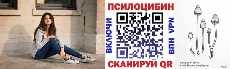 наркотики  Минеральные Воды  Галлюциногенные грибы Psilocybe 