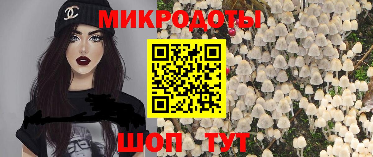 Галлюциногенные грибы GOLDEN TEACHER  Псилоцибиновые грибы мицелий  Минеральные Воды  Вход с VPN 