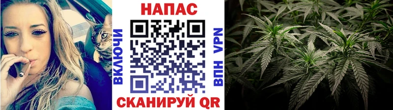 где купить наркоту  Минеральные Воды  Шишки марихуана MAZAR 